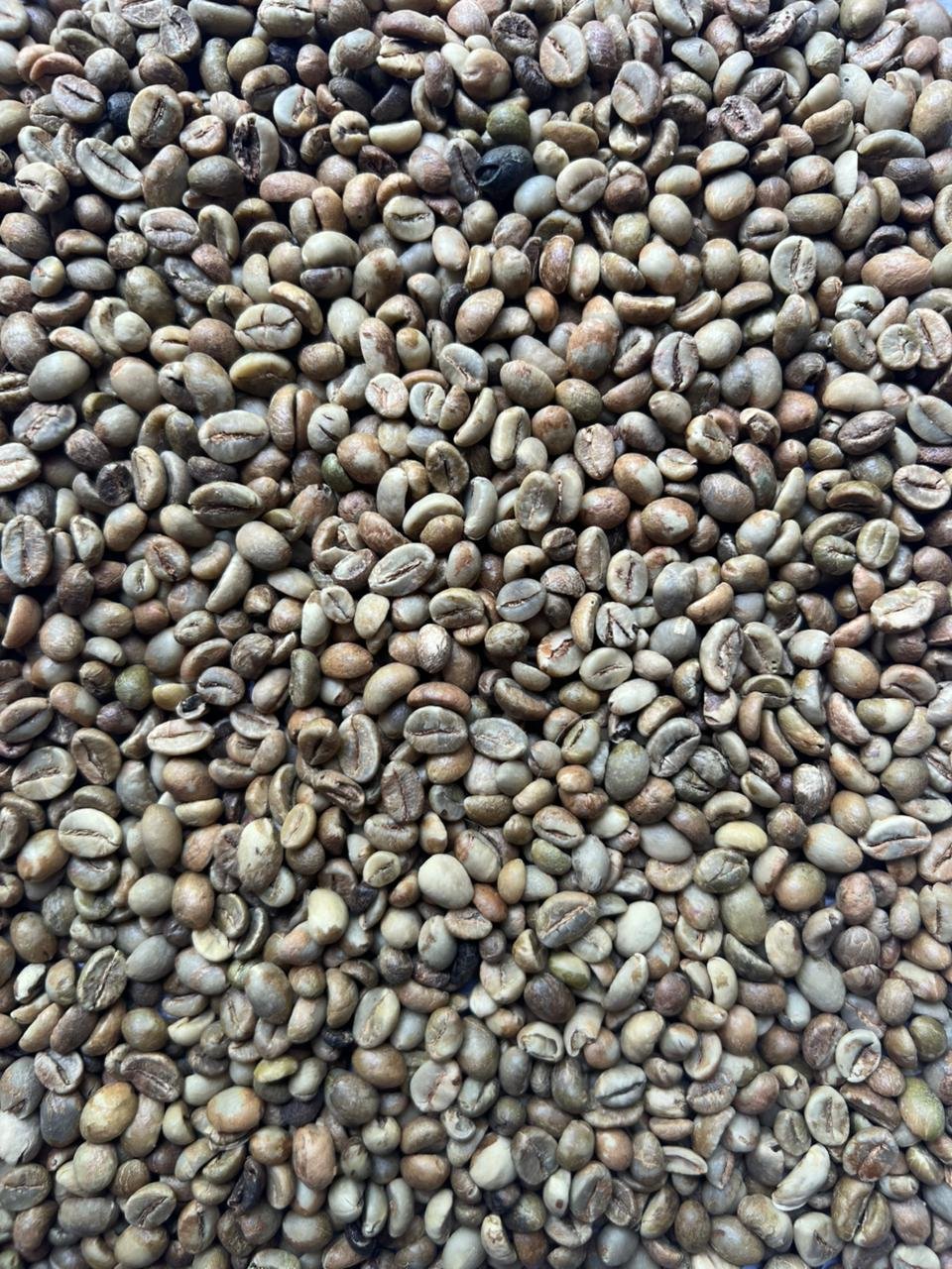 PT NUSA COFFE TRADE photo gallery (10)