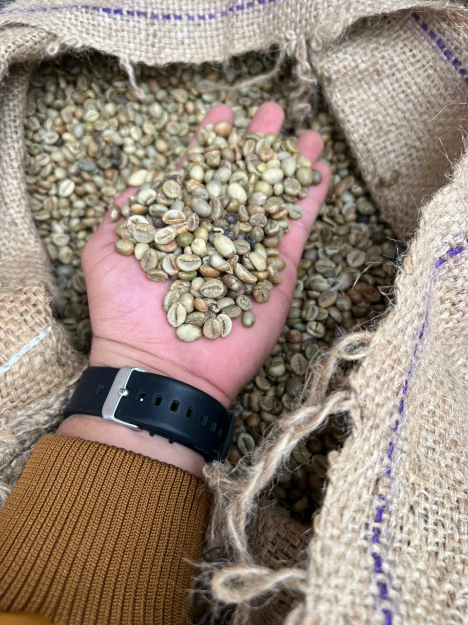 PT NUSA COFFE TRADE photo gallery (23)