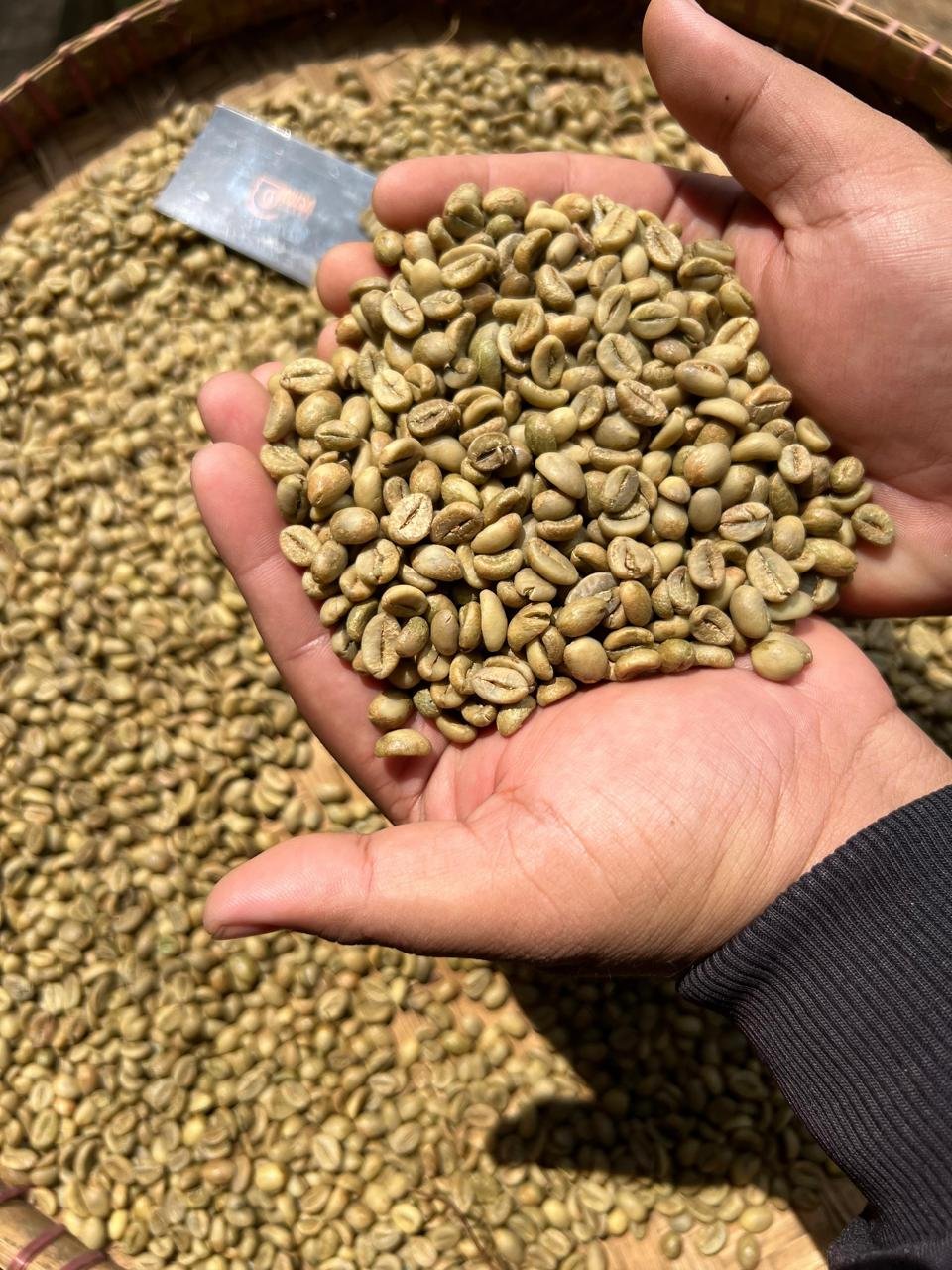 PT NUSA COFFE TRADE photo gallery (25)