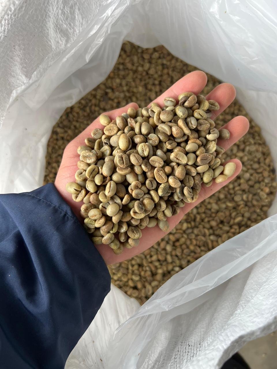 PT NUSA COFFE TRADE photo gallery (55)